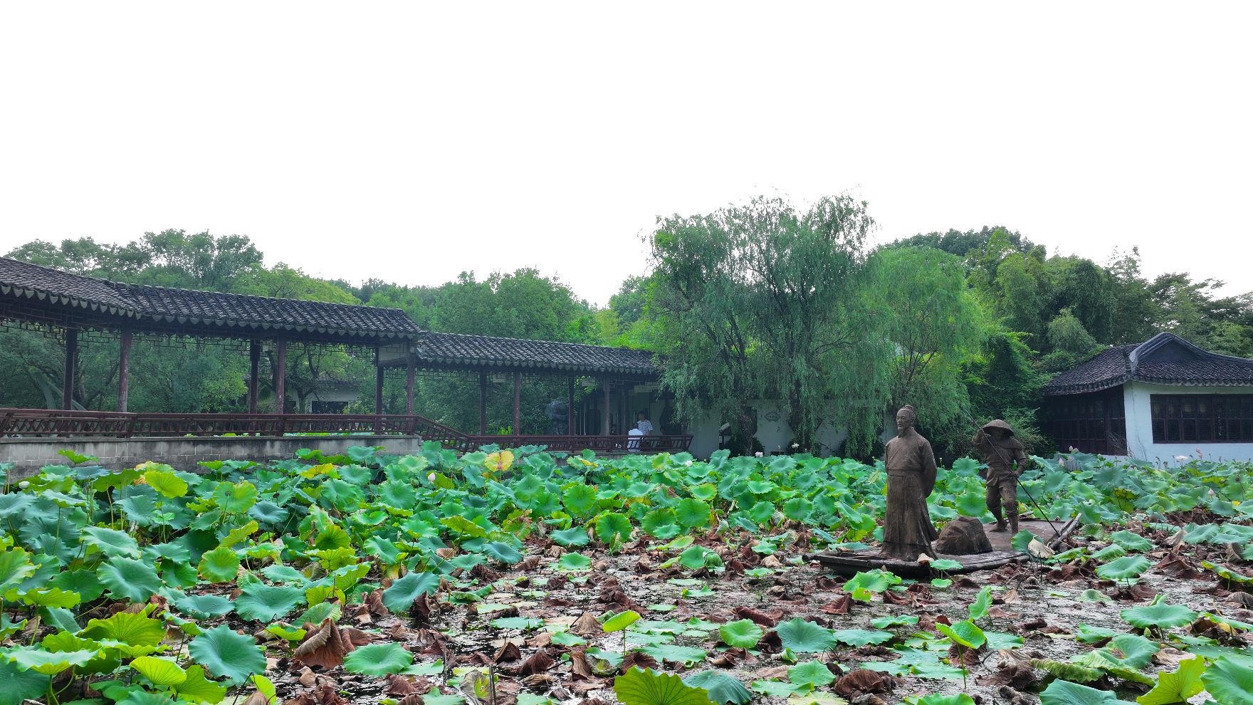莺湖园旅行图片 2