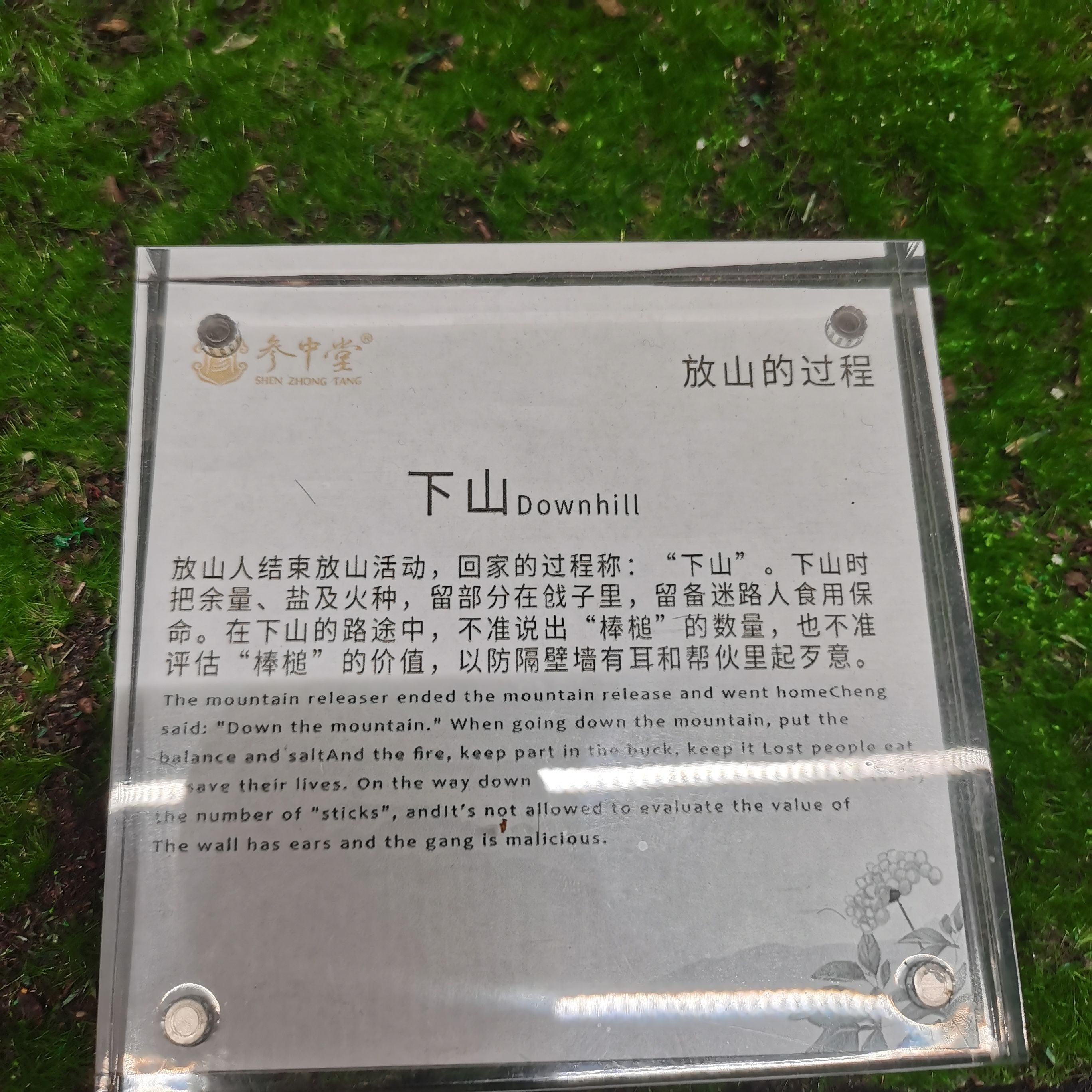 野山参博物馆旅行图片 1