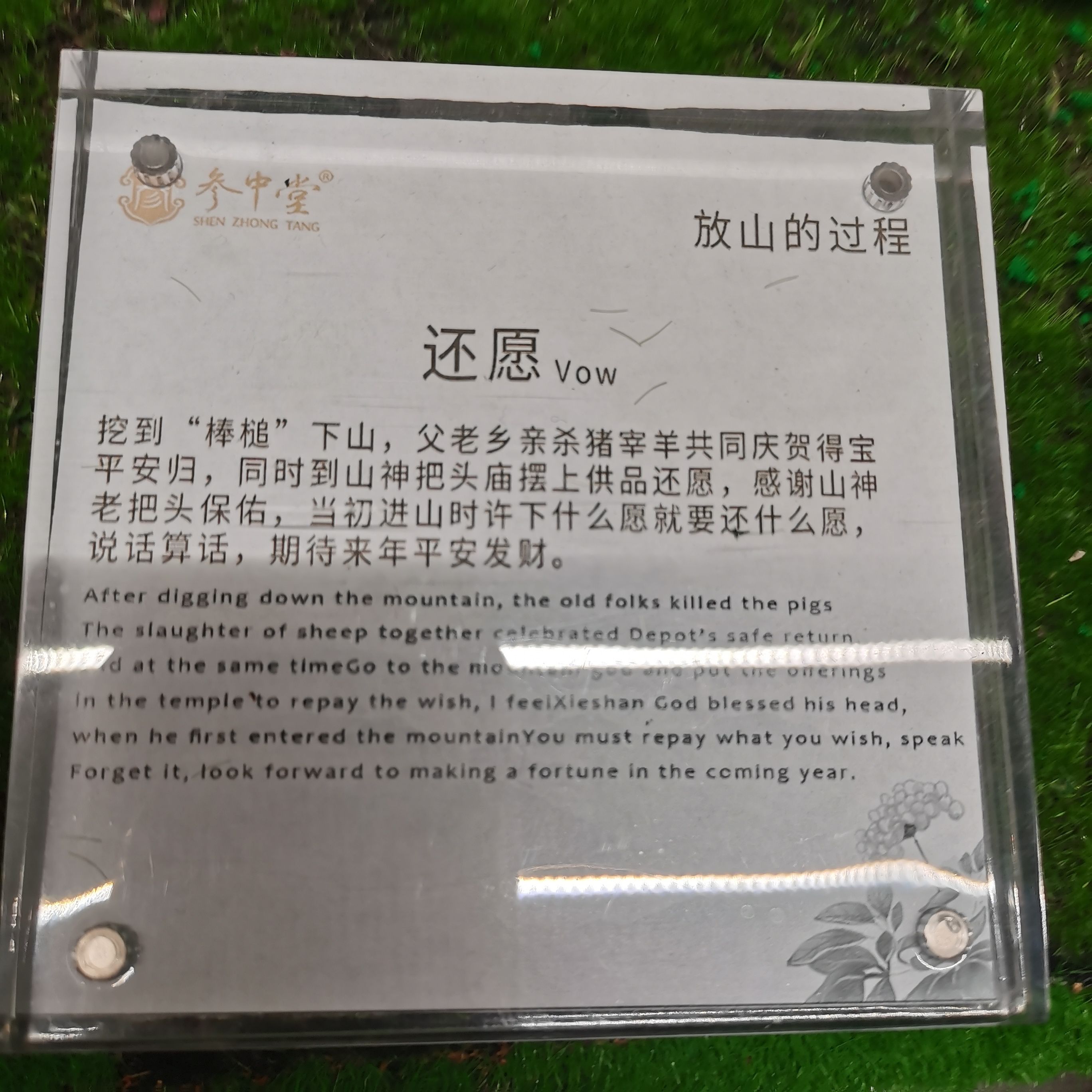 野山参博物馆旅行图片 2