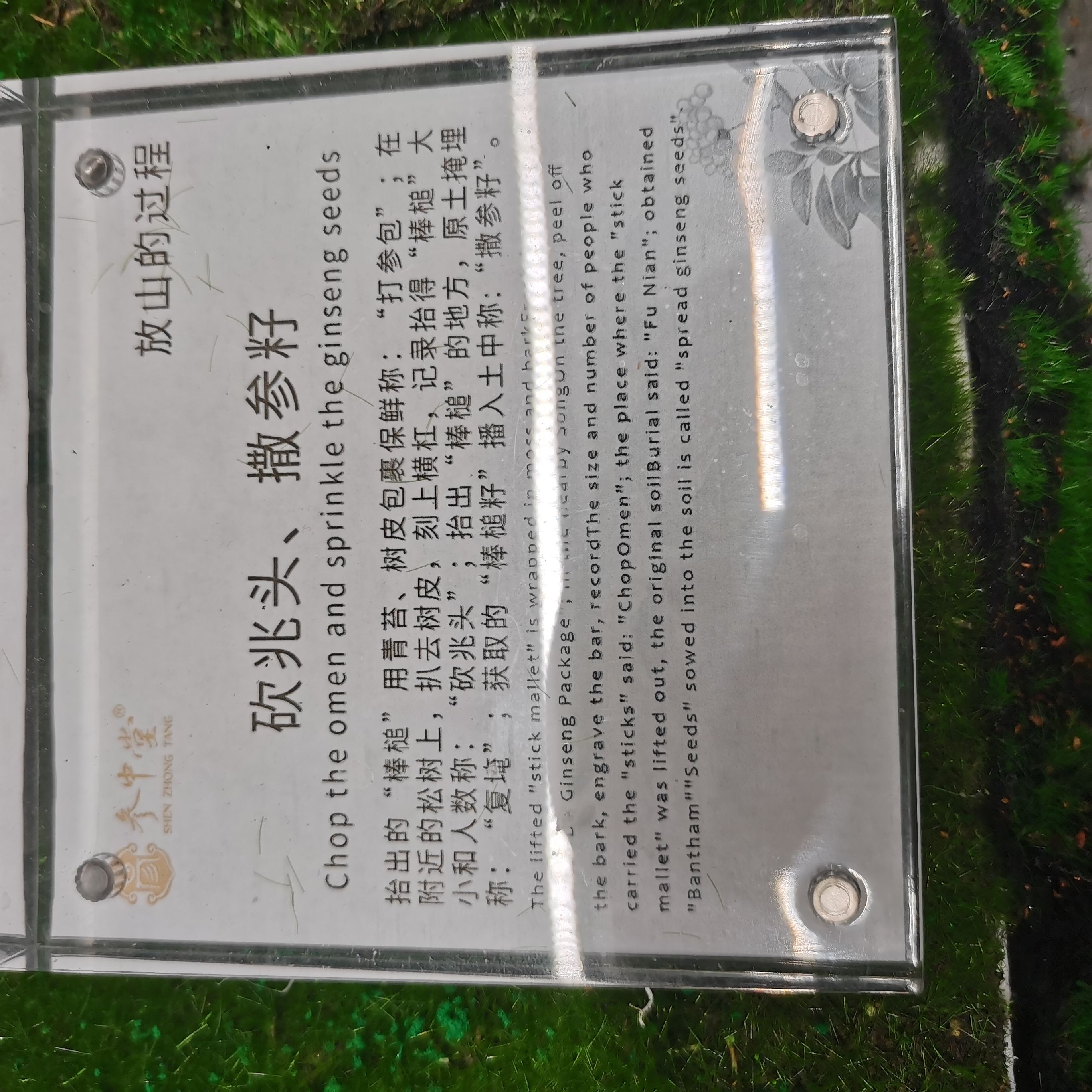 野山参博物馆旅行图片 3