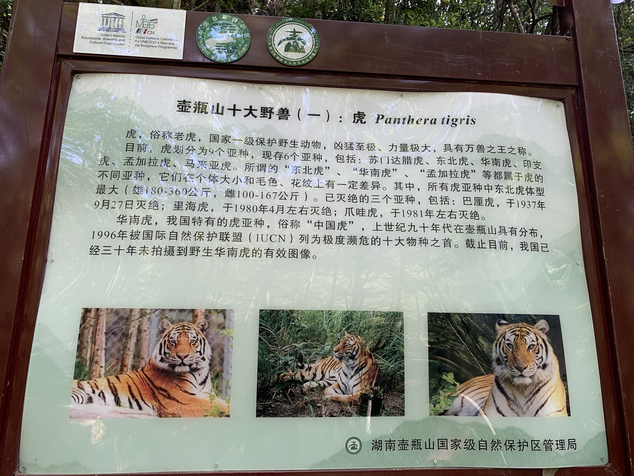 剩头吊桥旅行图片 3