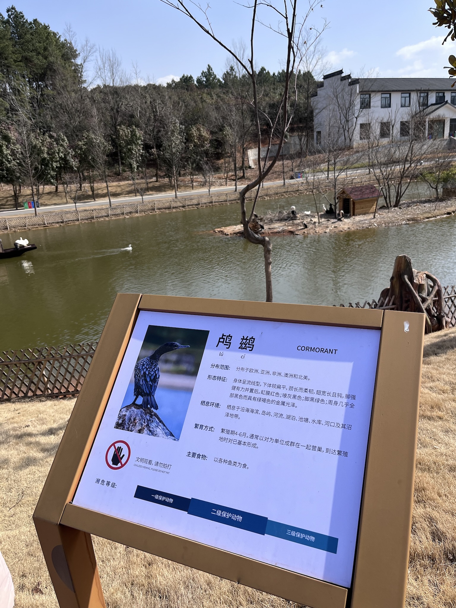 皖南野生动物园鸬鹚旅行图片 1