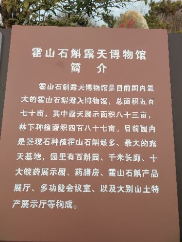 霍山石斛露天博物馆旅行图片 2