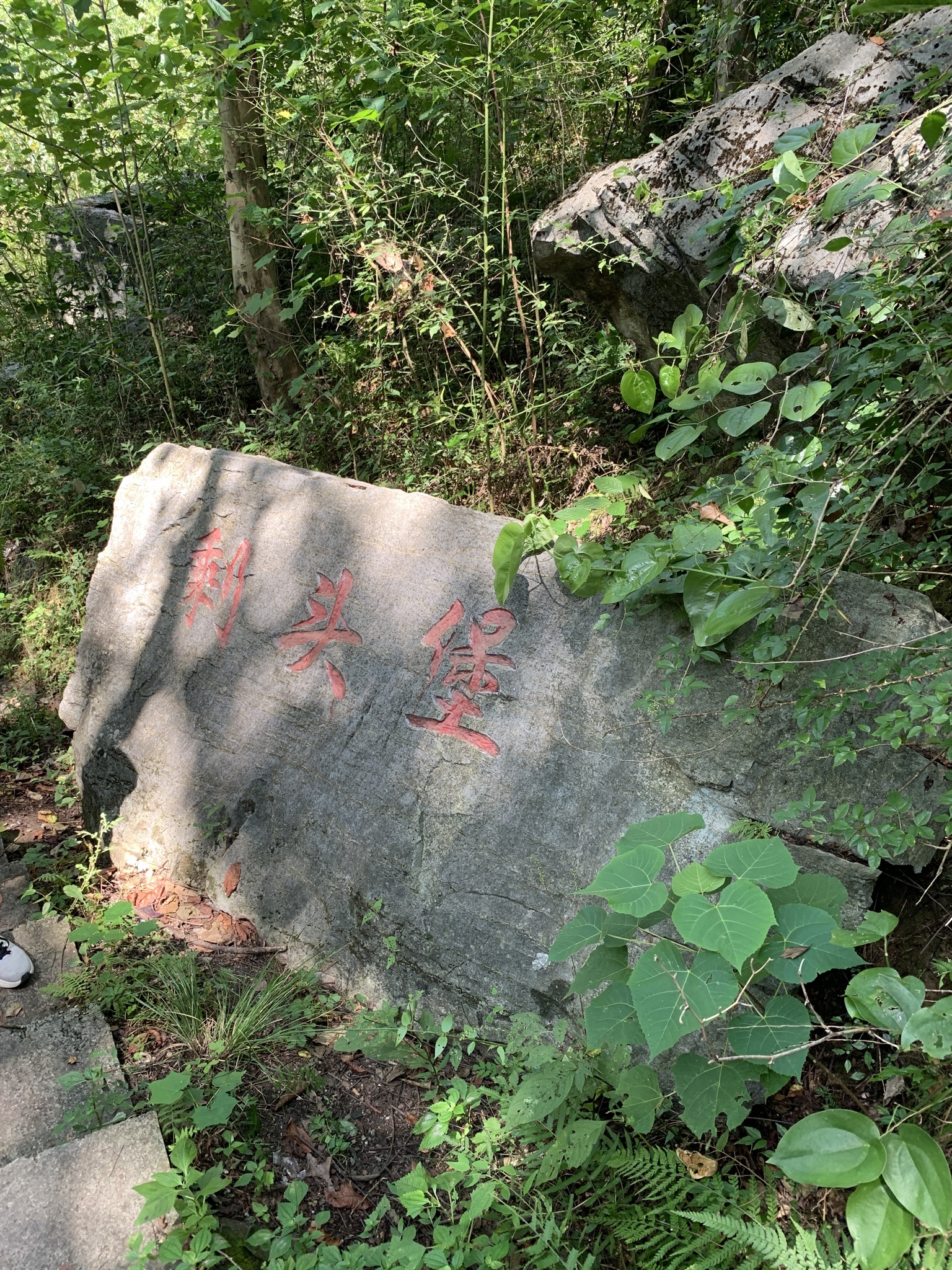 剩头吊桥旅行图片 2