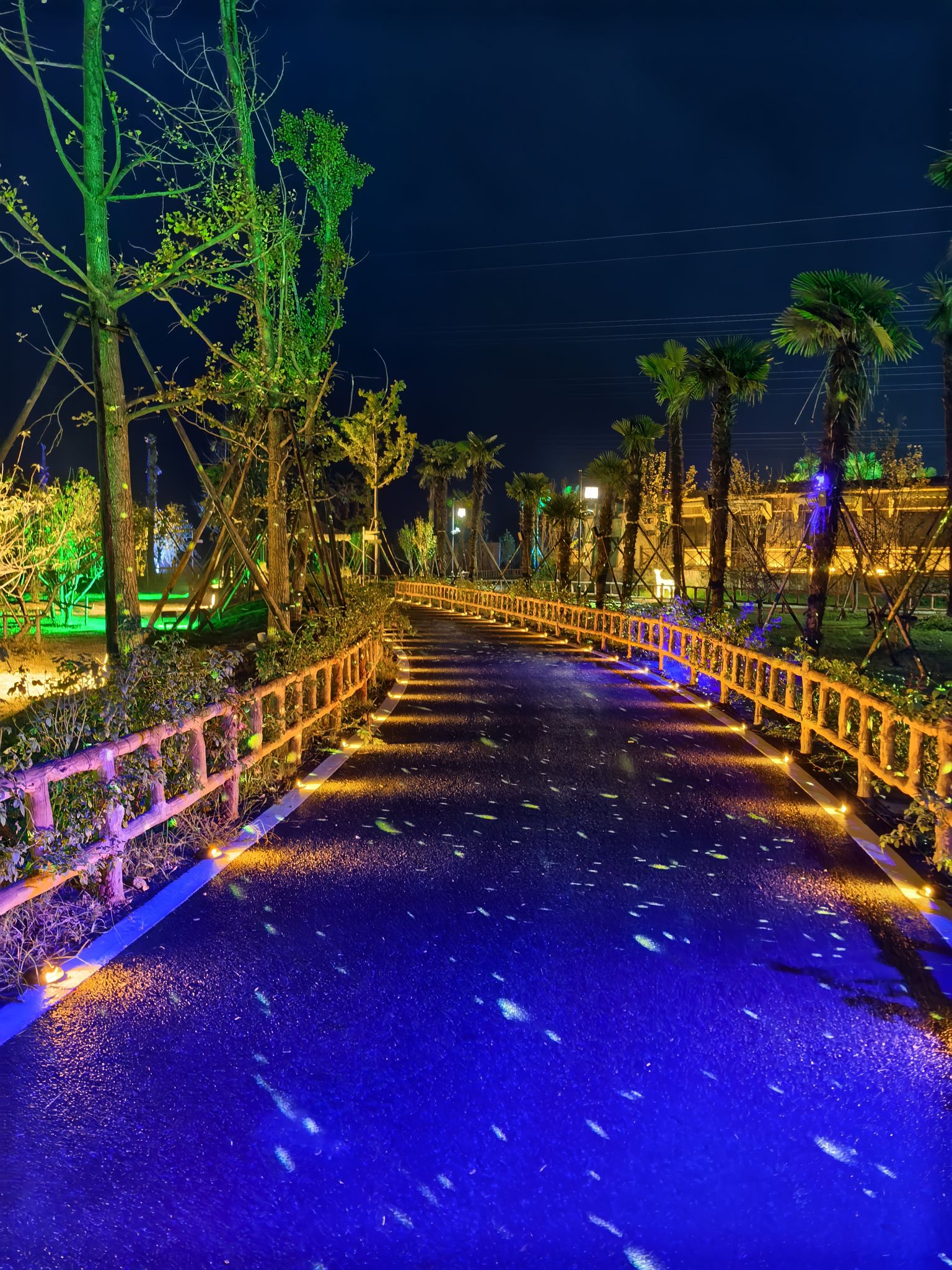 溧水仟陌花开综合景区旅行图片 1
