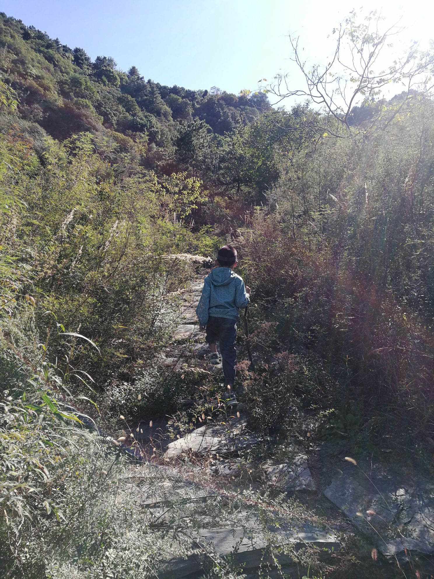 猫耳山风景区旅行图片 1