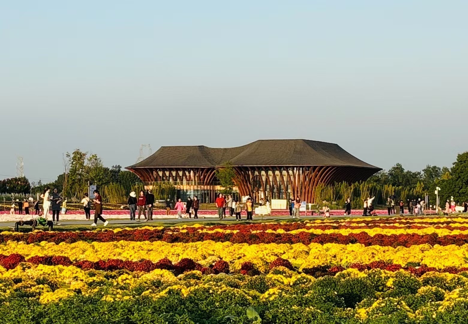 成都世界园艺博览会温江分会场旅行图片 2
