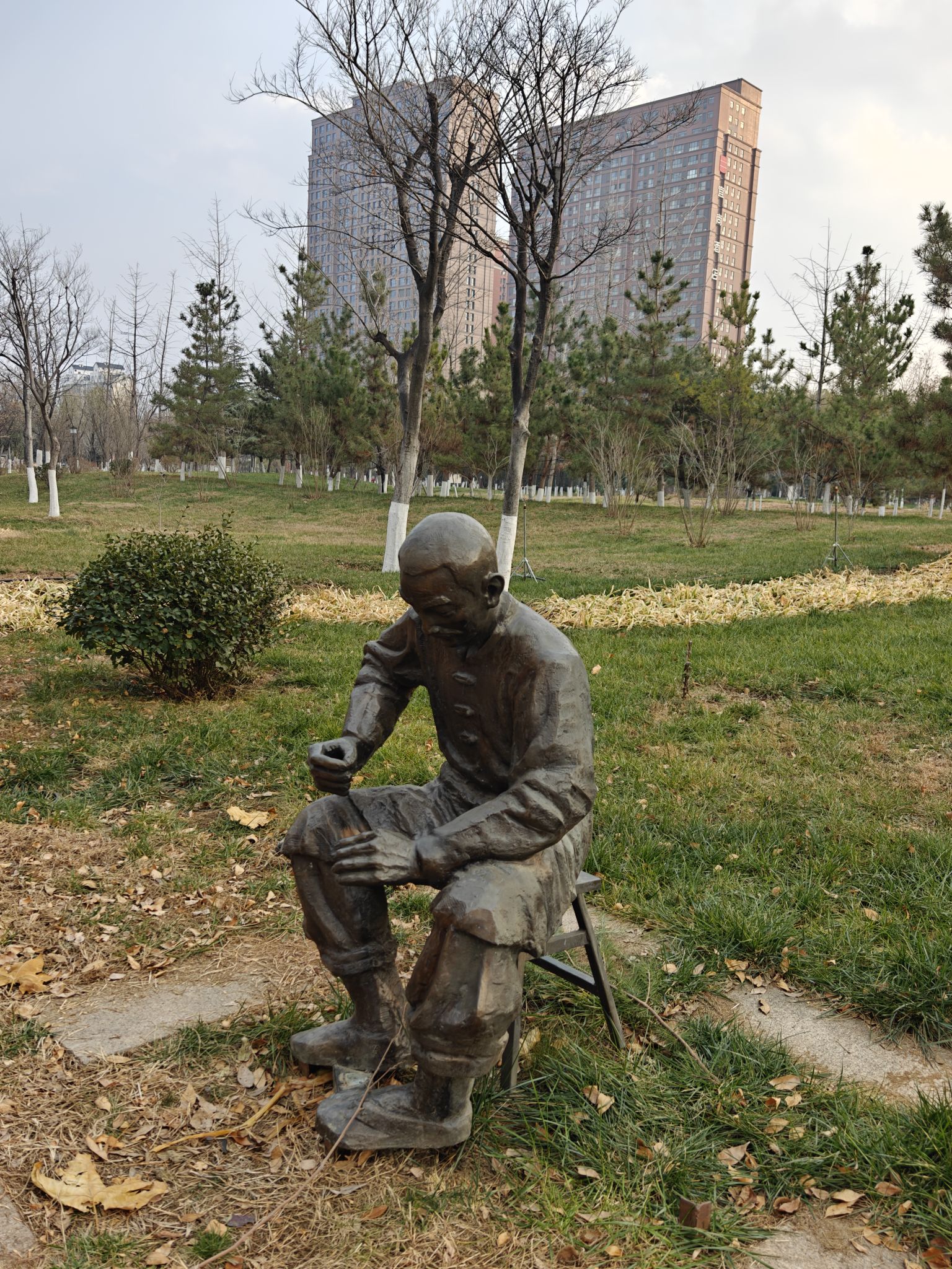 张店市民公园旅行图片 3