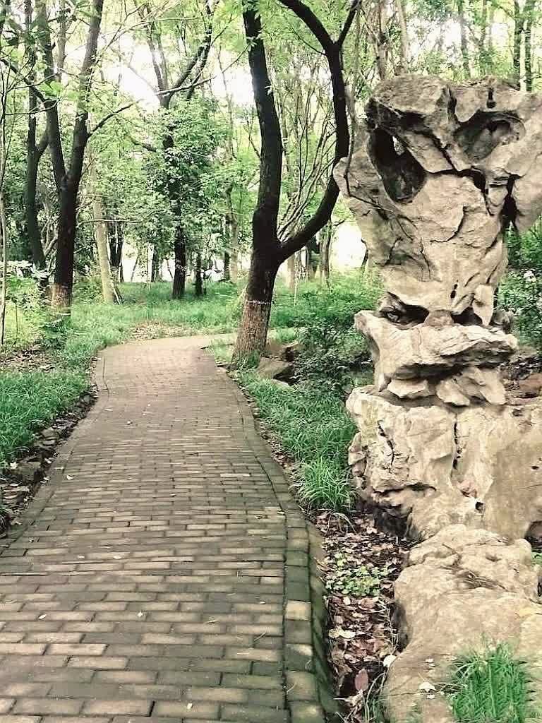 莺湖园旅行图片 1
