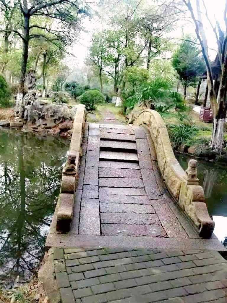 莺湖园旅行图片 3