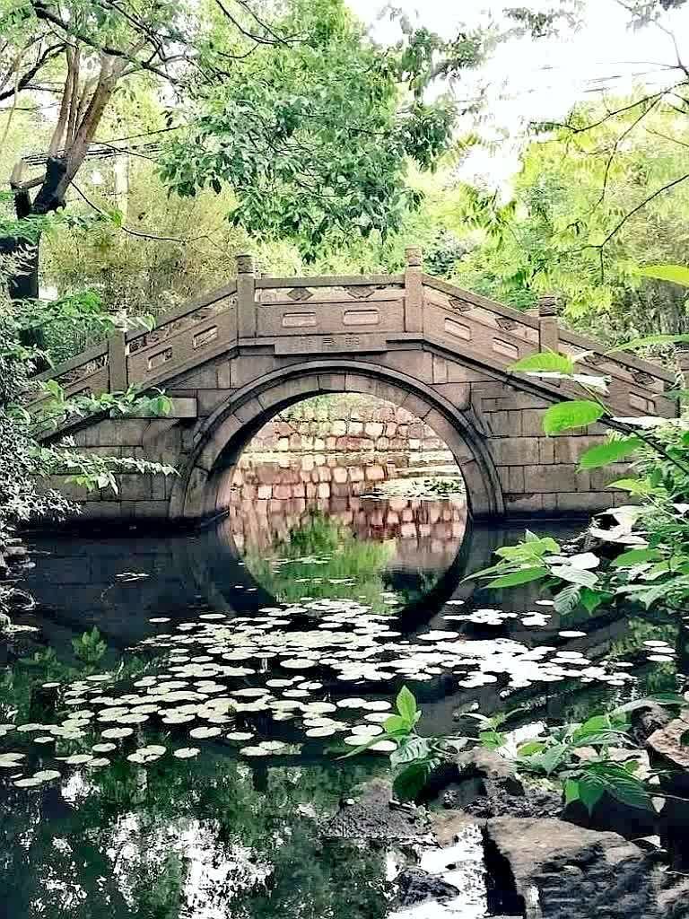 莺湖园旅行图片 2