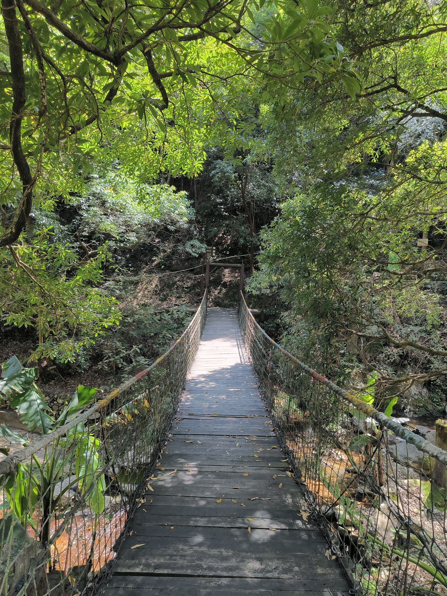 茫荡山三千八百坎景区旅行图片 1