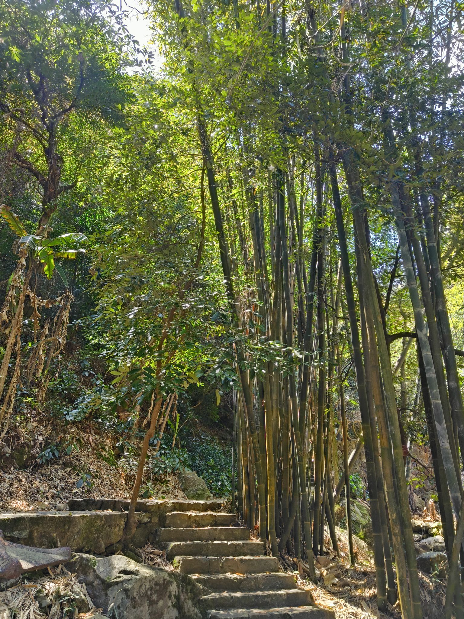茫荡山三千八百坎景区旅行图片 3