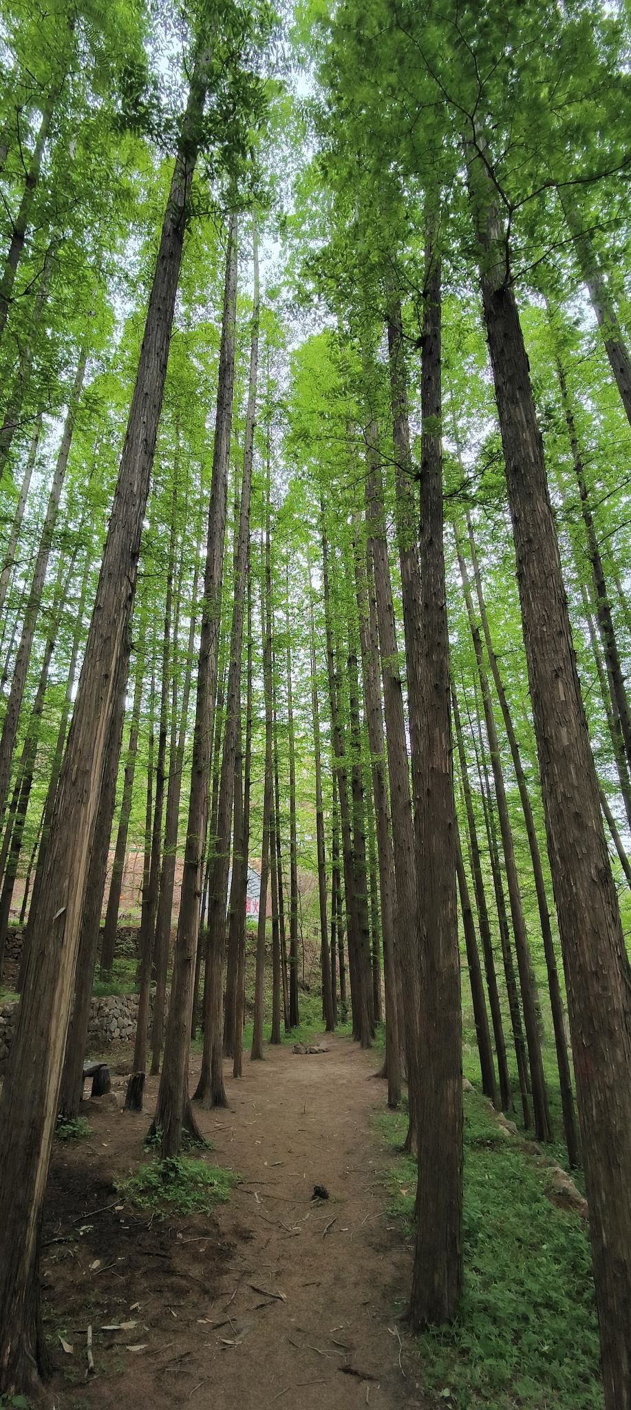 北方石林景区旅行图片 1
