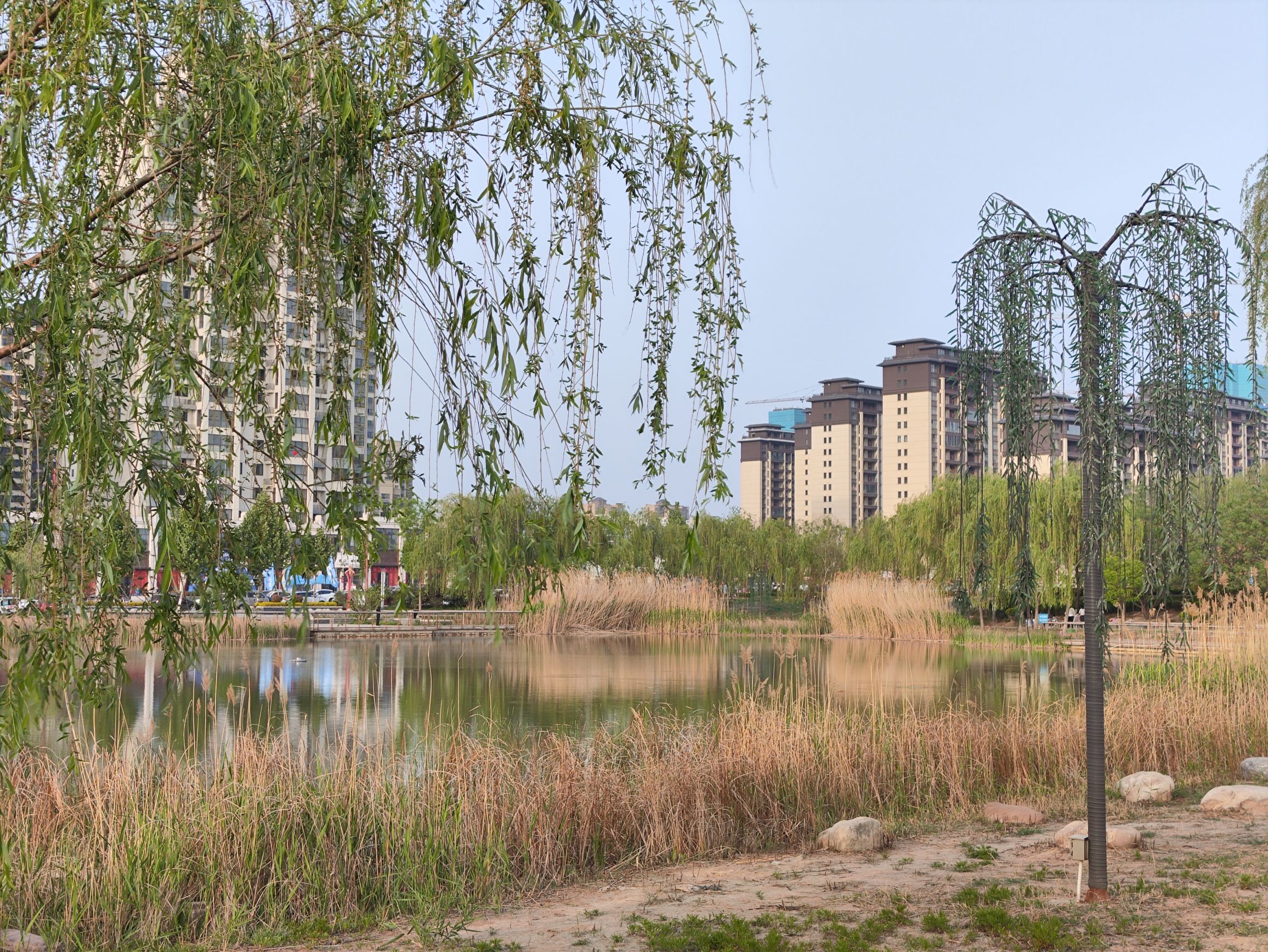 大禹湖旅行图片 3