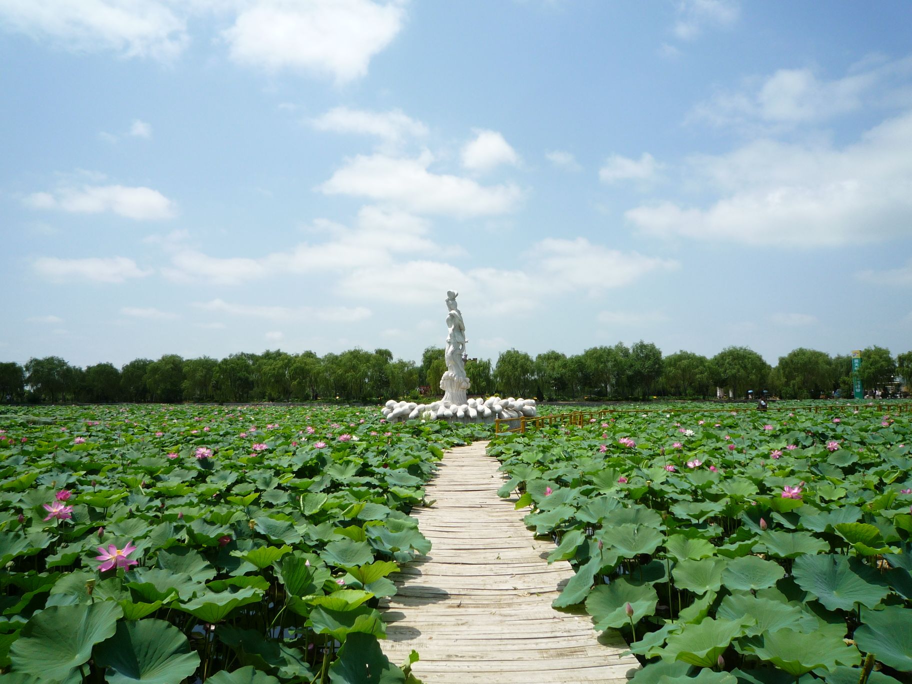 寿光林海生态博览园旅行图片 3