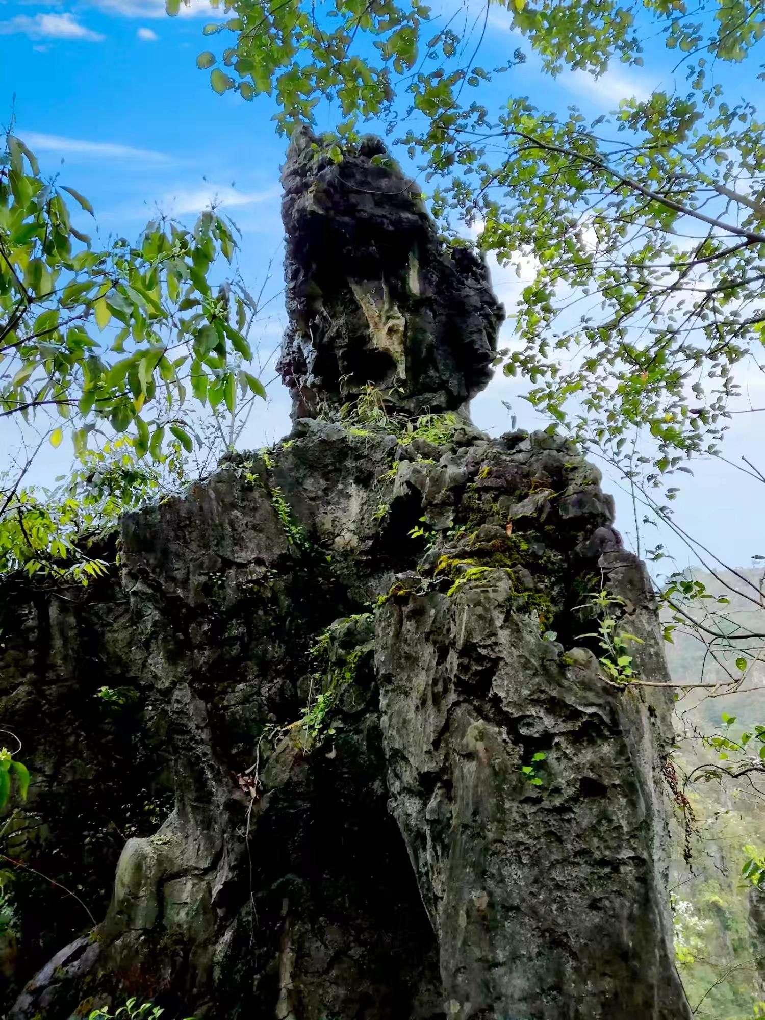 兴文世界地质公园僰王山园区旅行图片 3
