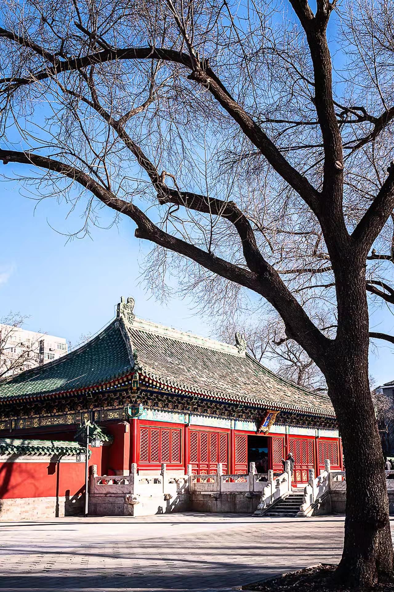 庆成宫旅行图片 1