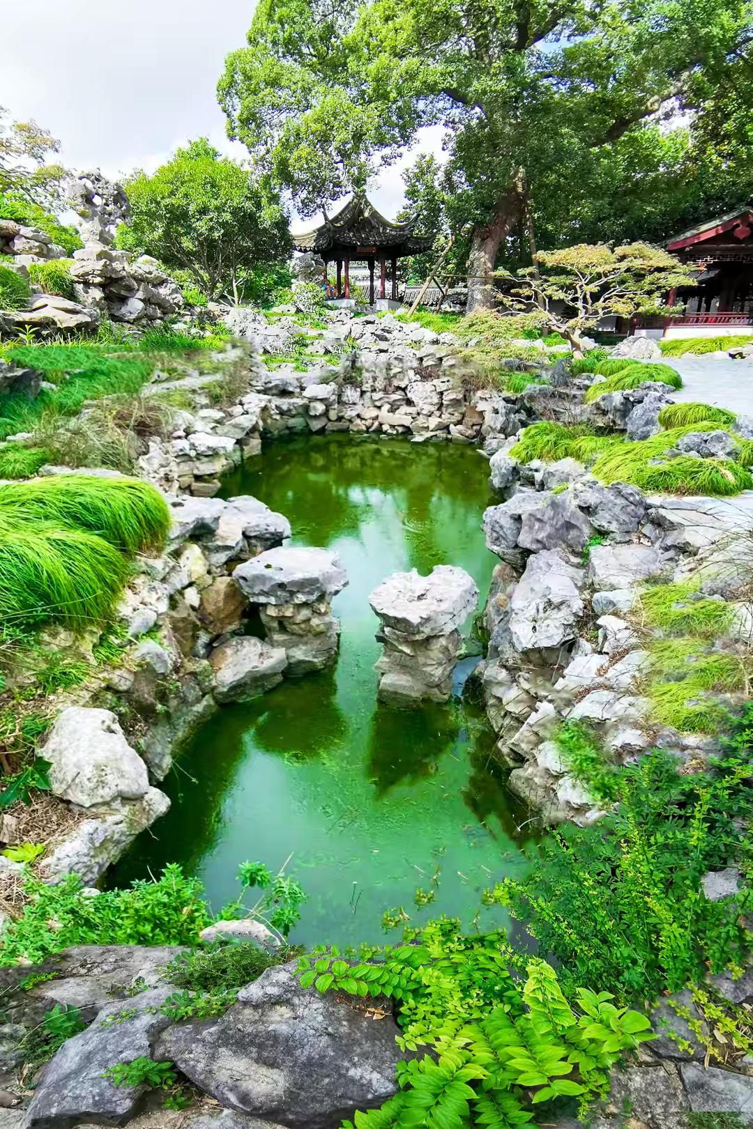 五峰园旅行图片 2