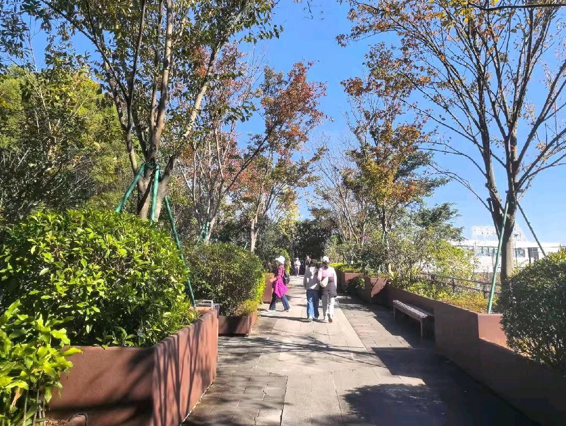 福山郊野公园旅行图片 2