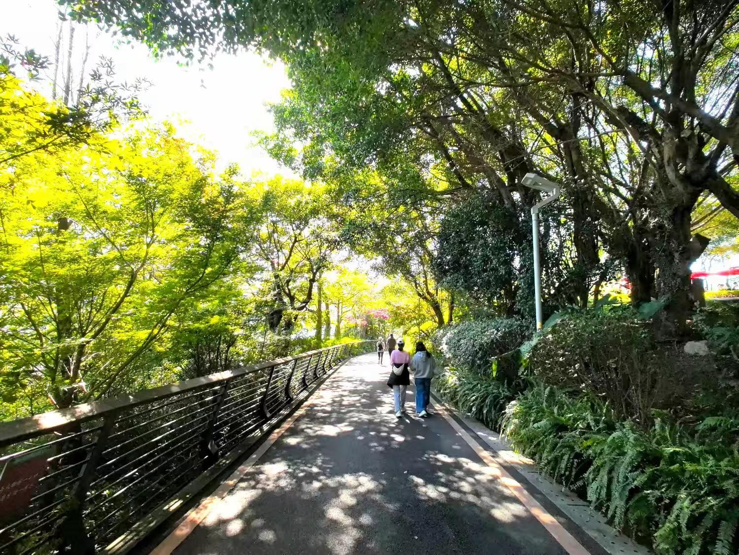 福山郊野公园旅行图片 1