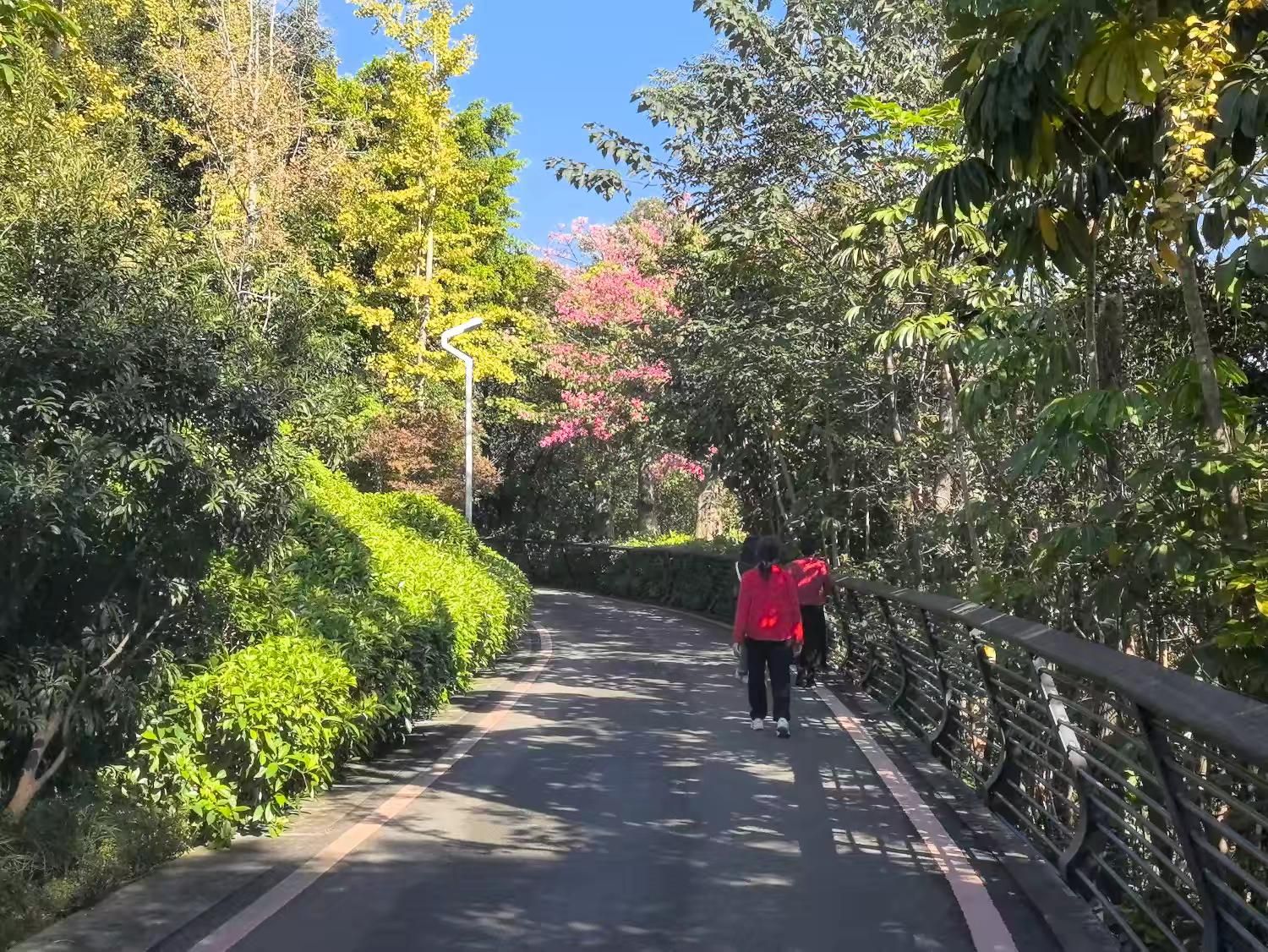 福山郊野公园旅行图片 3