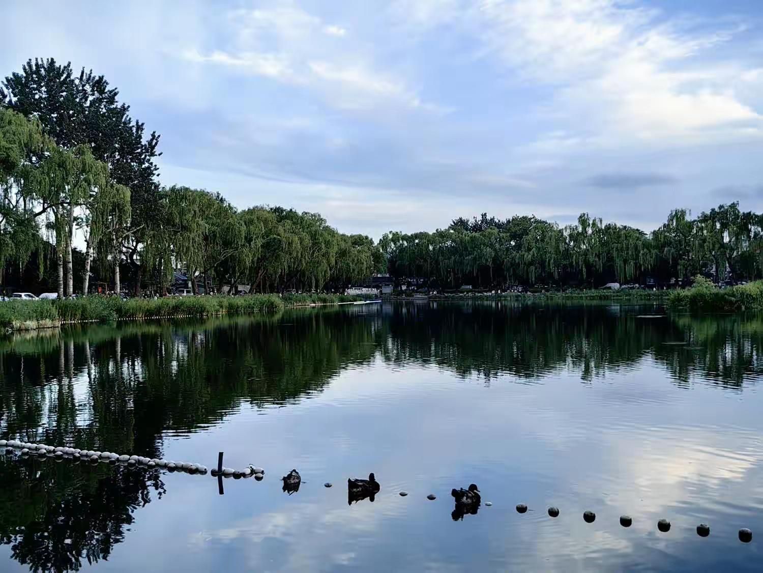 西海湿地公园旅行图片 3
