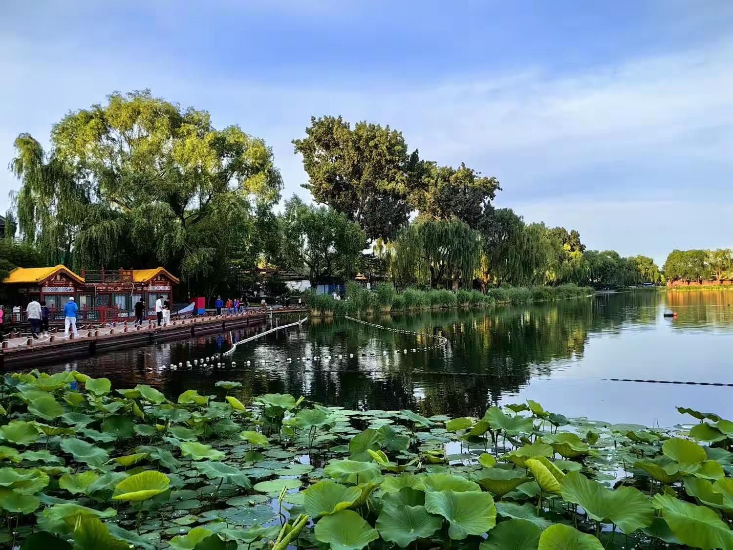 西海湿地公园旅行图片 2