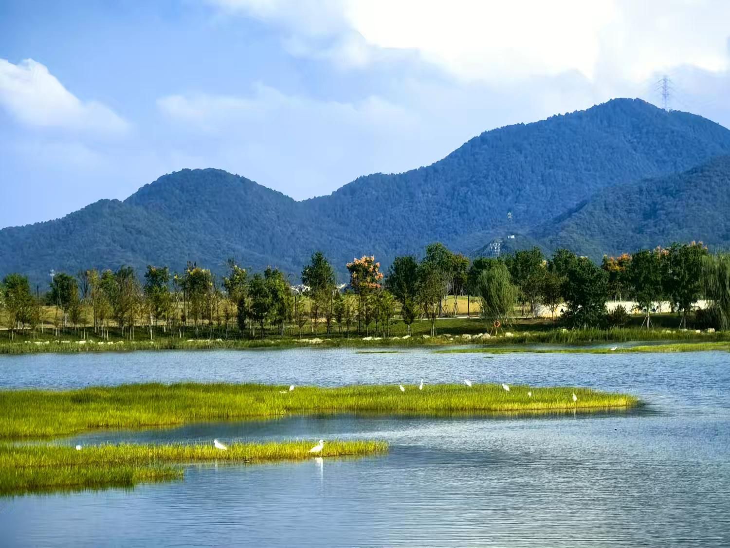栖湖公园旅行图片 3