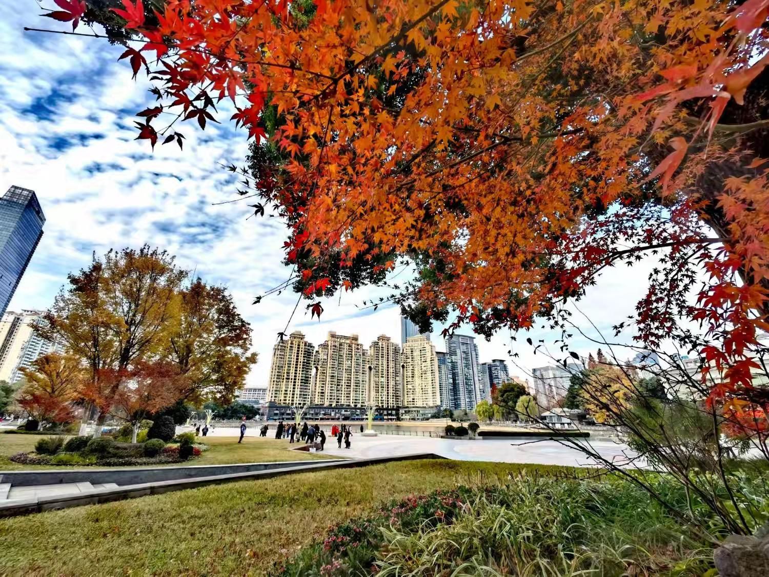 西北湖公园旅行图片 2