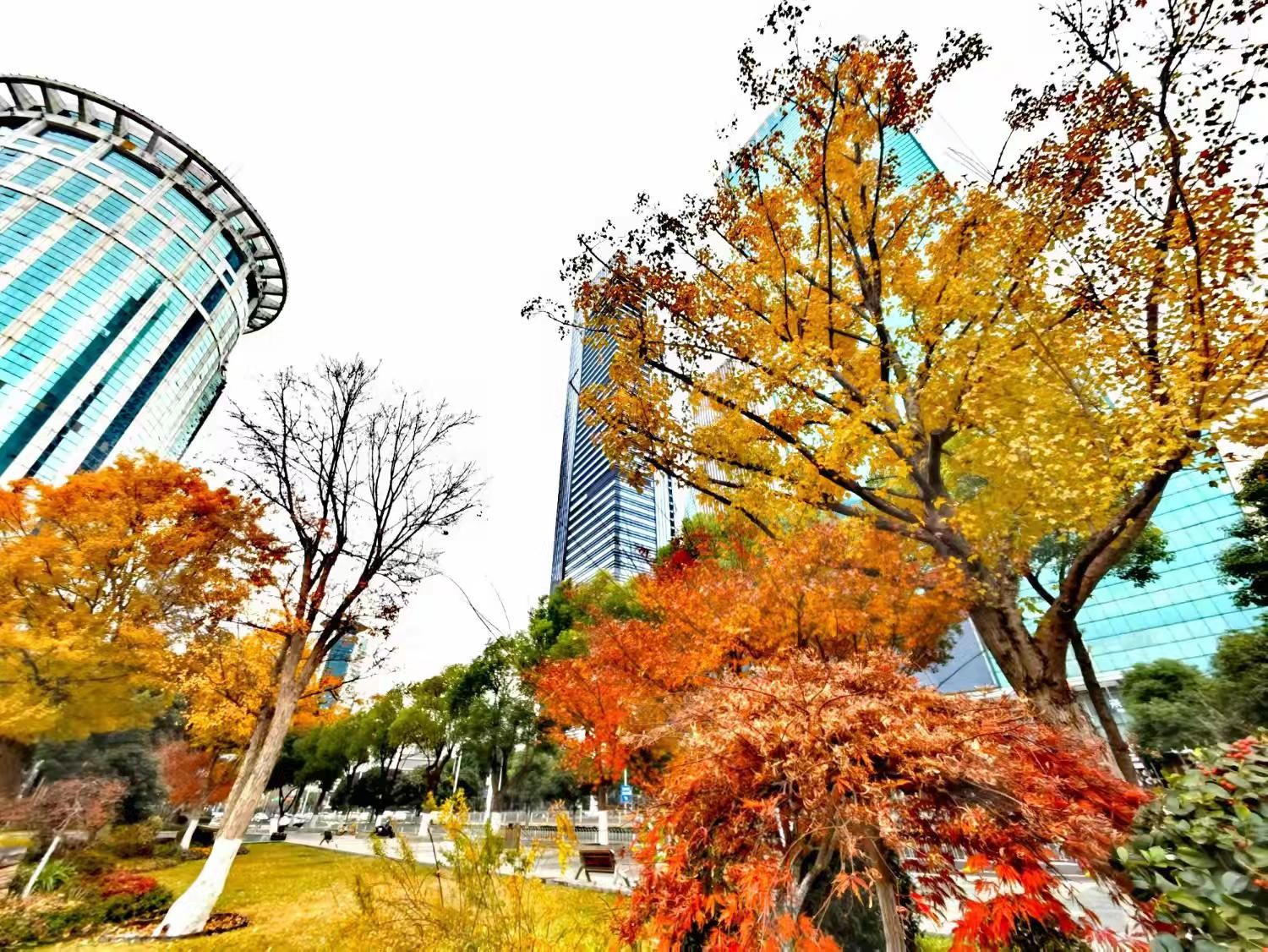 西北湖公园旅行图片 3