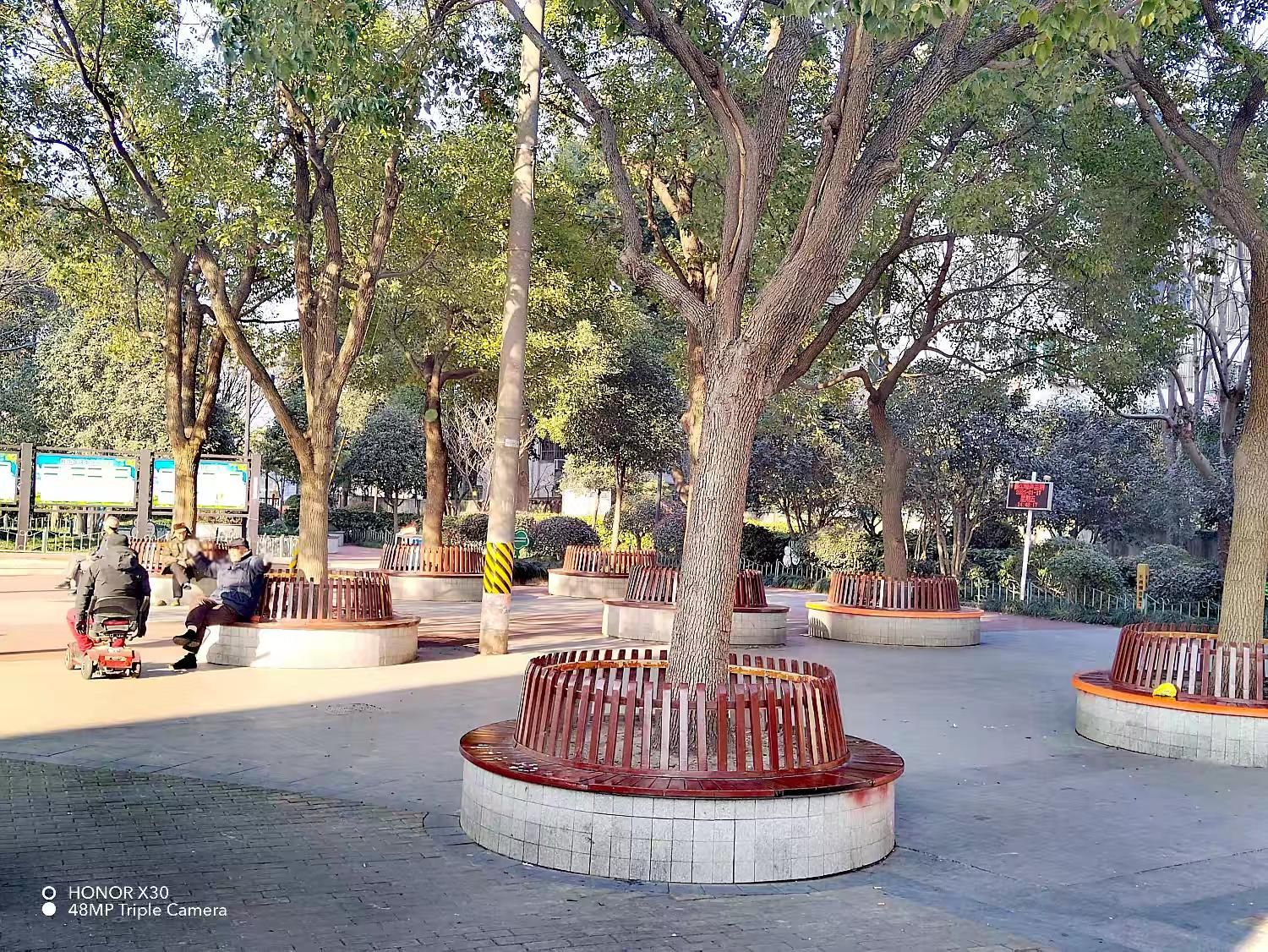 西渡公园旅行图片 1