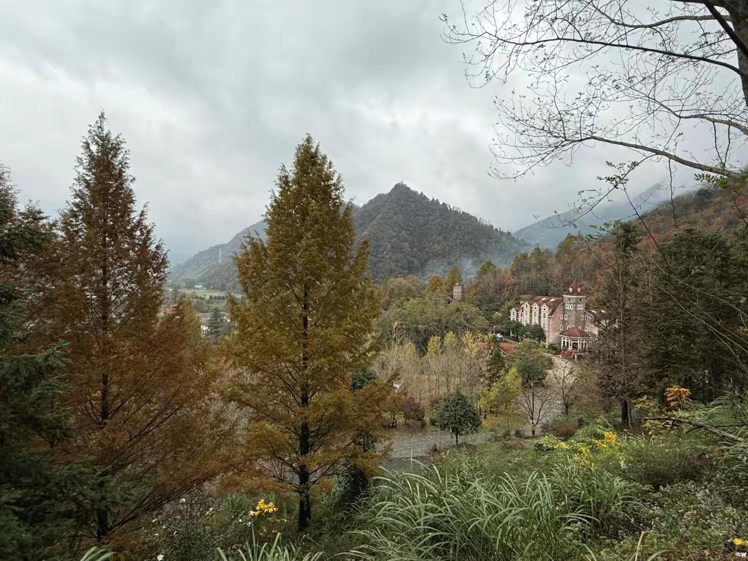 东黄山旅游度假区旅行图片 3