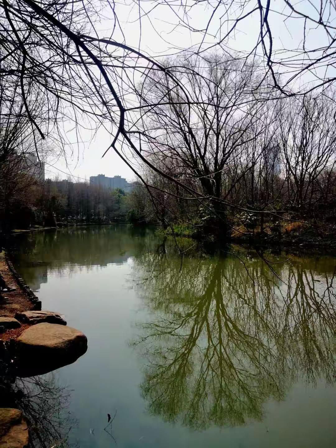新江湾湿地生态观鸟拍鸟基地旅行图片 3