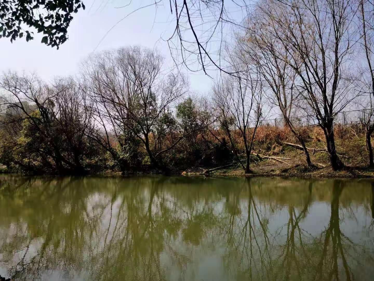 新江湾湿地生态观鸟拍鸟基地旅行图片 1