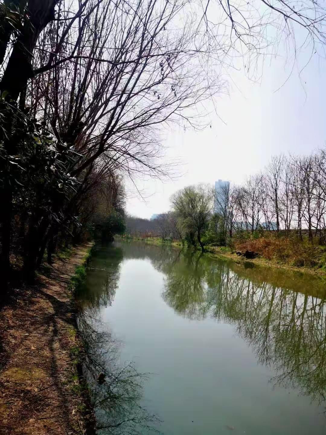 新江湾湿地生态观鸟拍鸟基地旅行图片 2