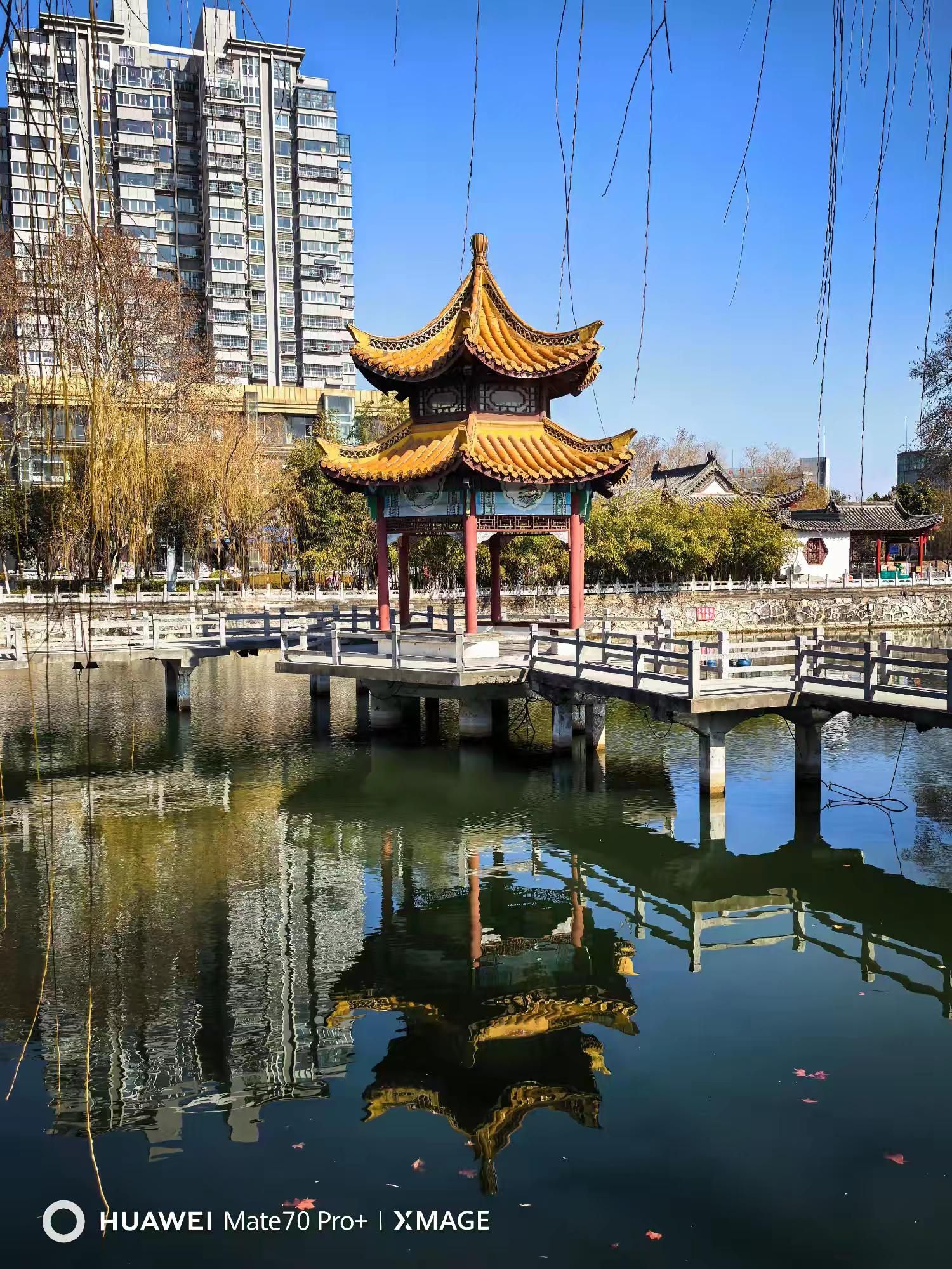 睢宁公园旅行图片 1