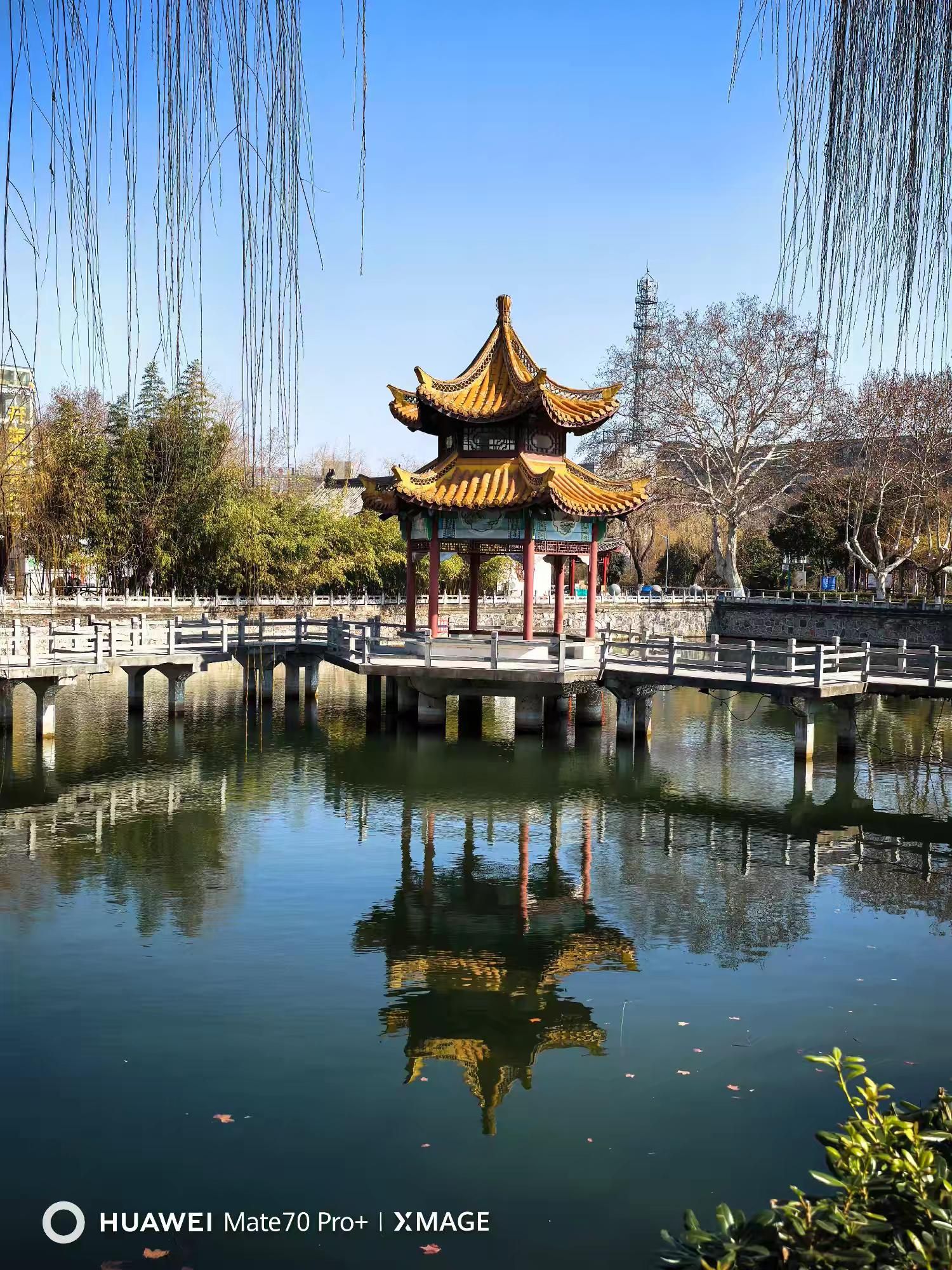 睢宁公园旅行图片 3