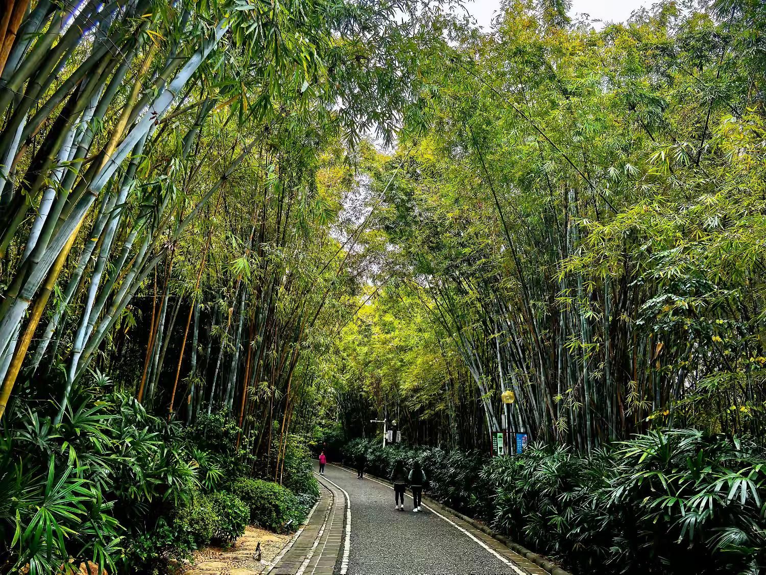 马鞍山公园旅行图片 2