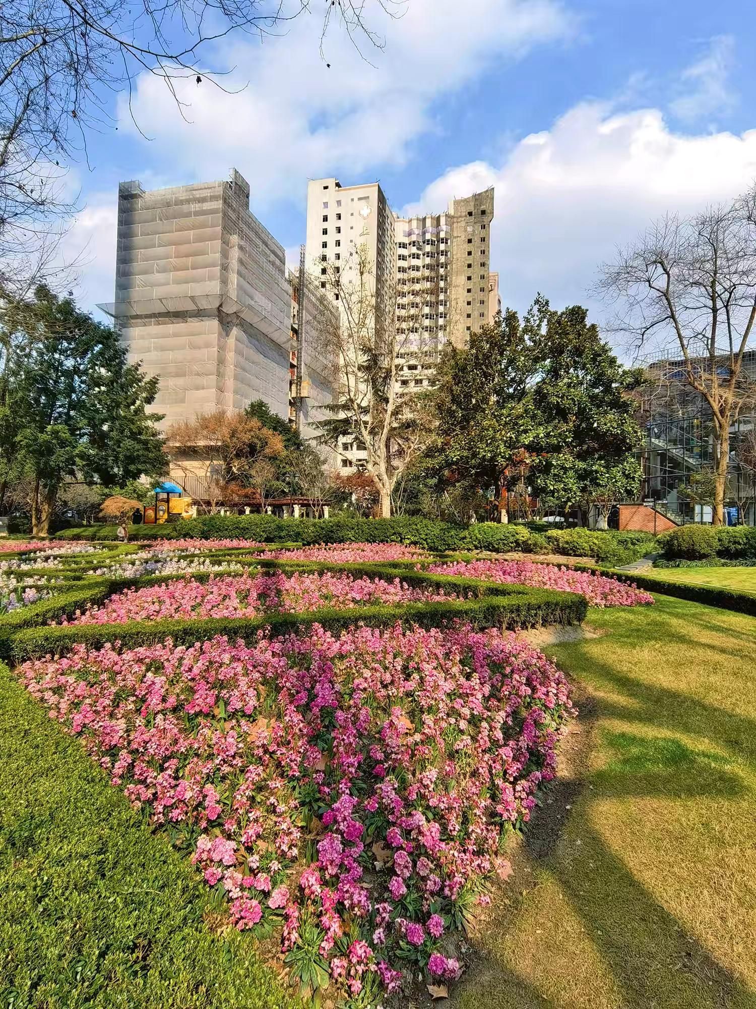 襄阳公园旅行图片 3