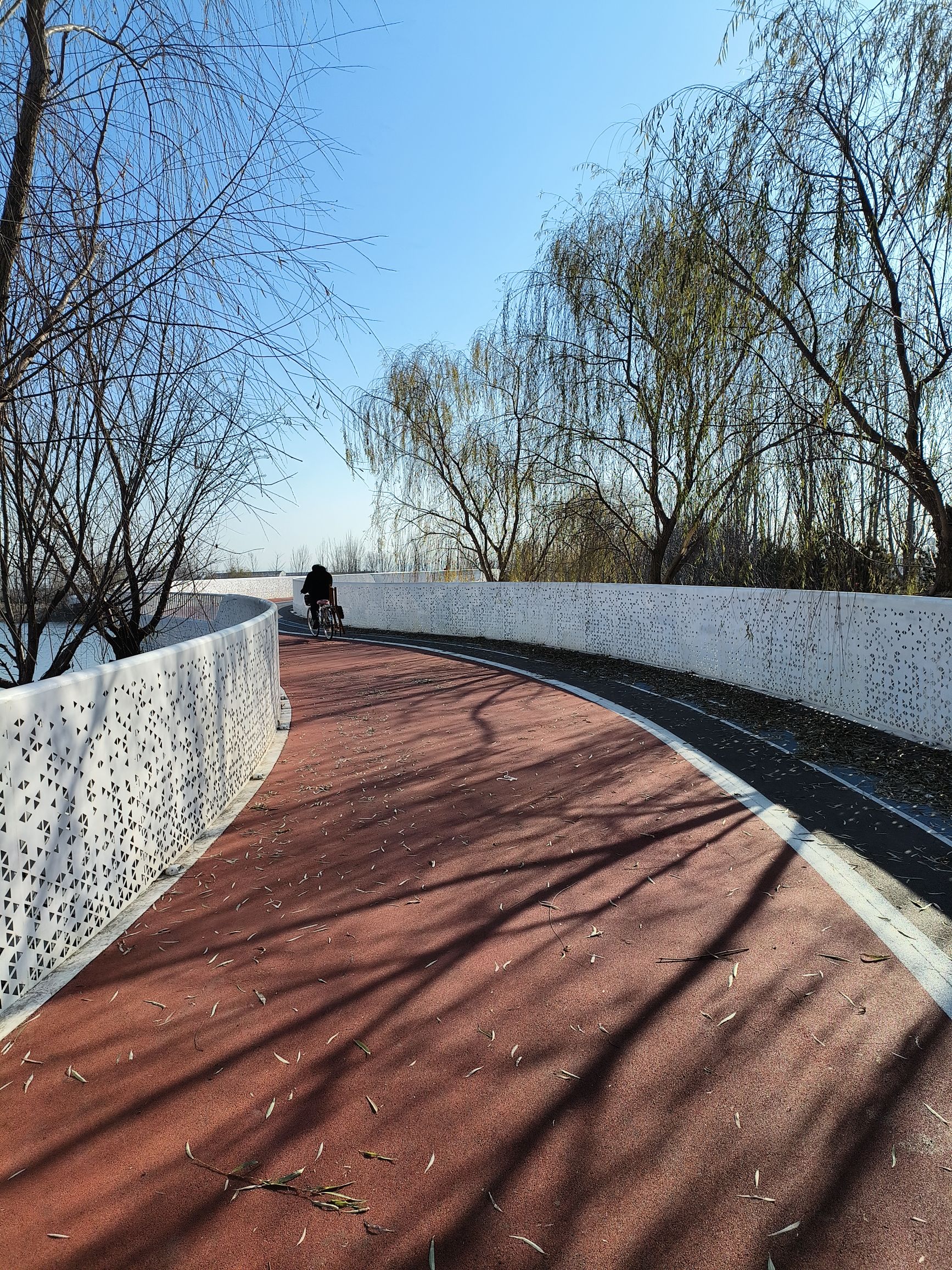 凯盛南湖湿地公园旅行图片 2