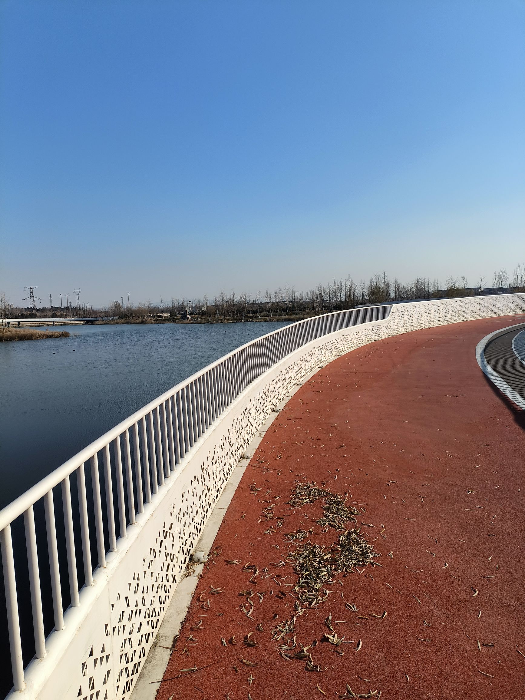 凯盛南湖湿地公园旅行图片 1