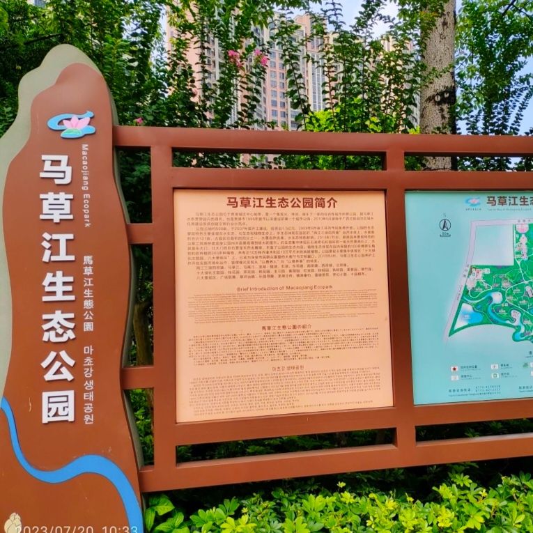 马草江生态公园旅行图片 1