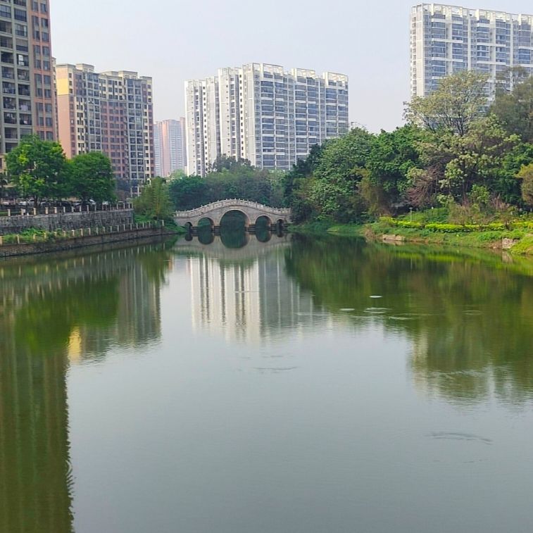 马草江生态公园旅行图片 2