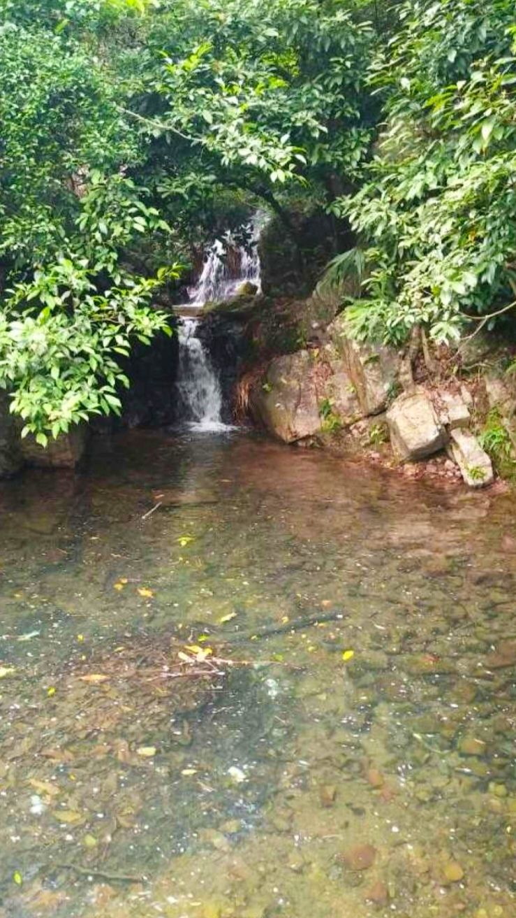 东塘山瀑布旅行图片 1