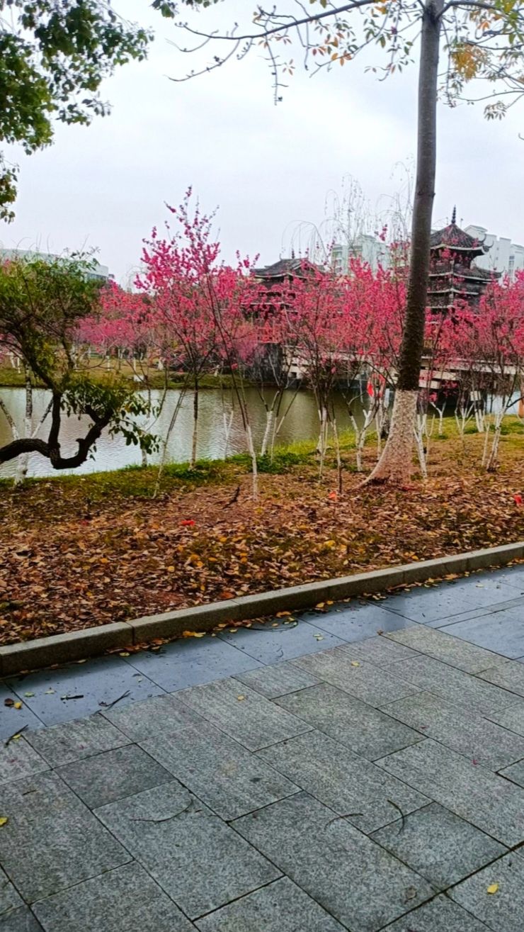南宁不孤湖景区旅行图片 3