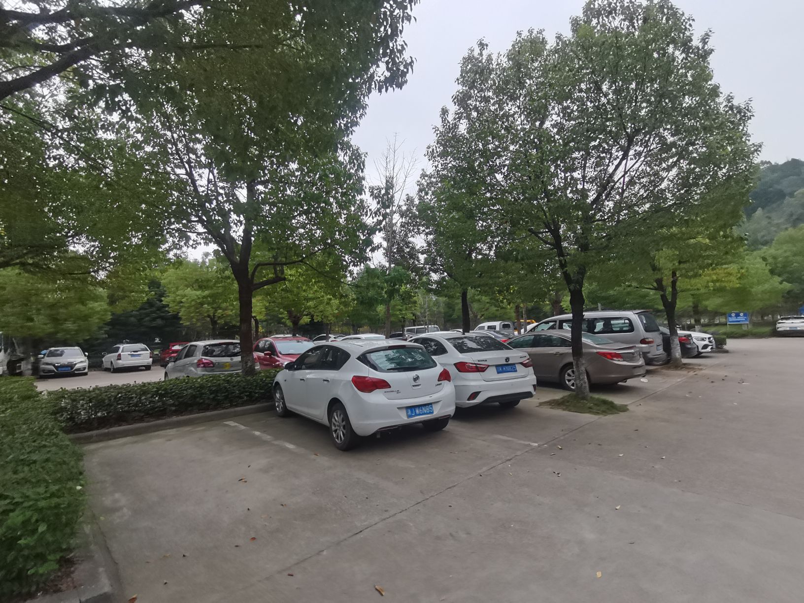 河埠湿地公园旅行图片 1