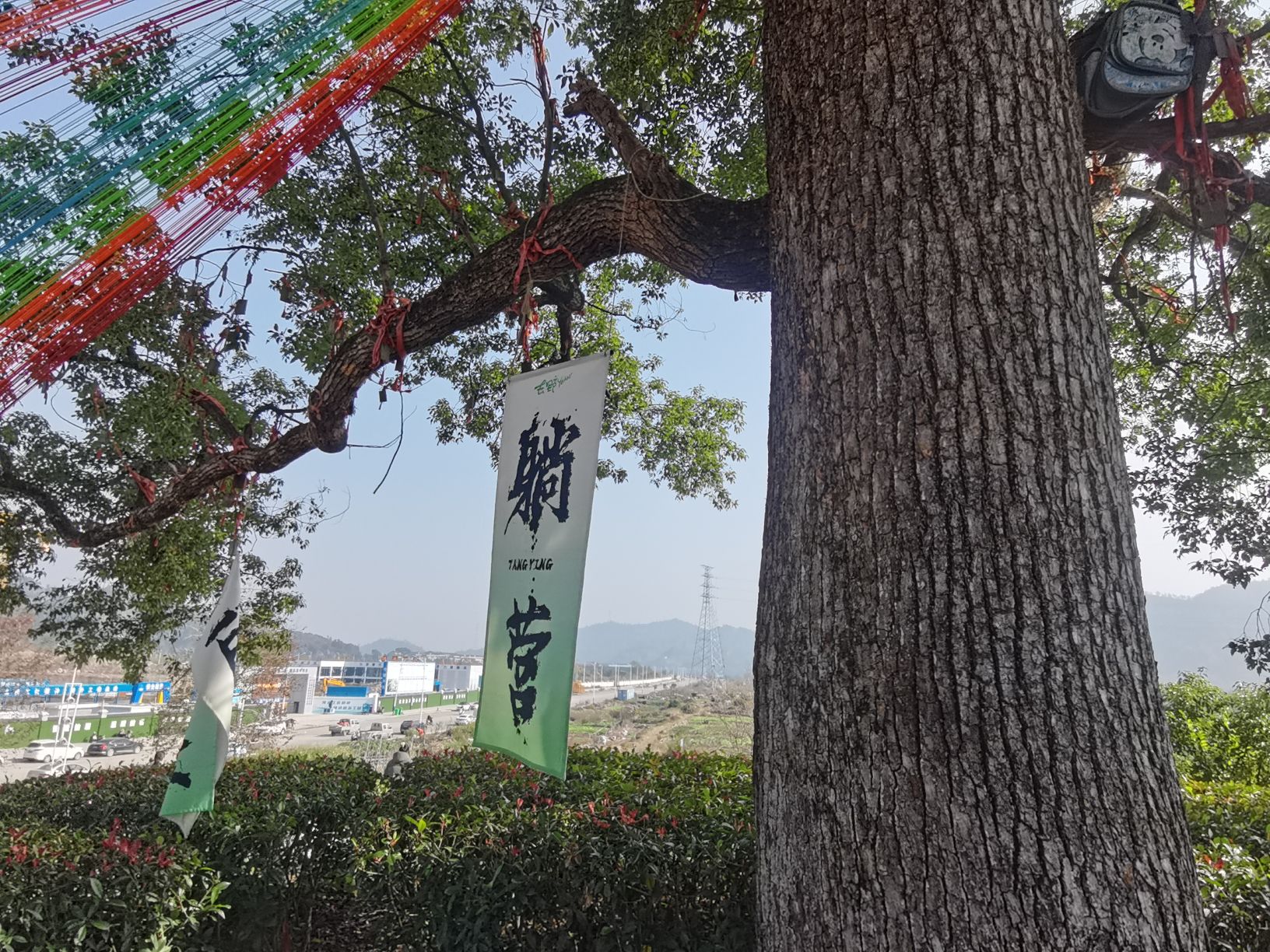 湖滨绿道旅行图片 1