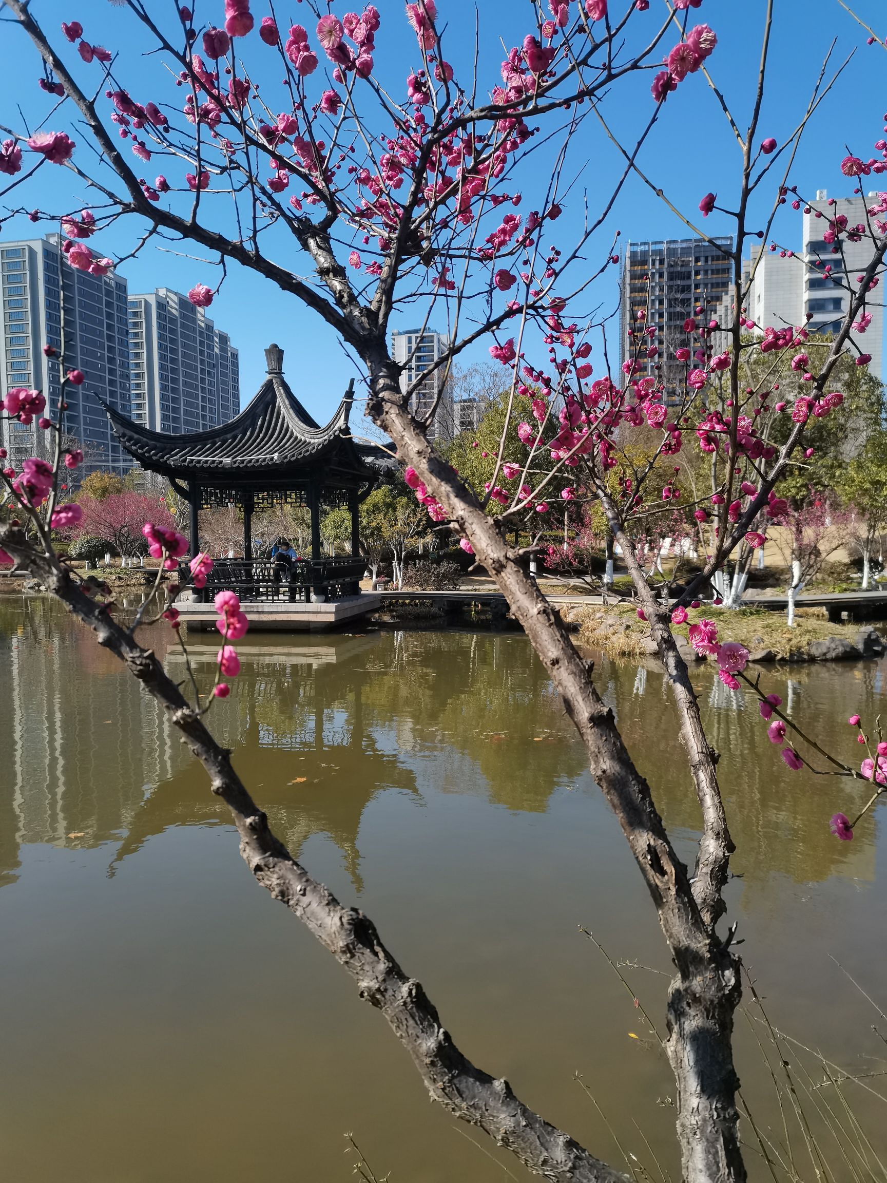 仙居县市民体育公园旅行图片 1