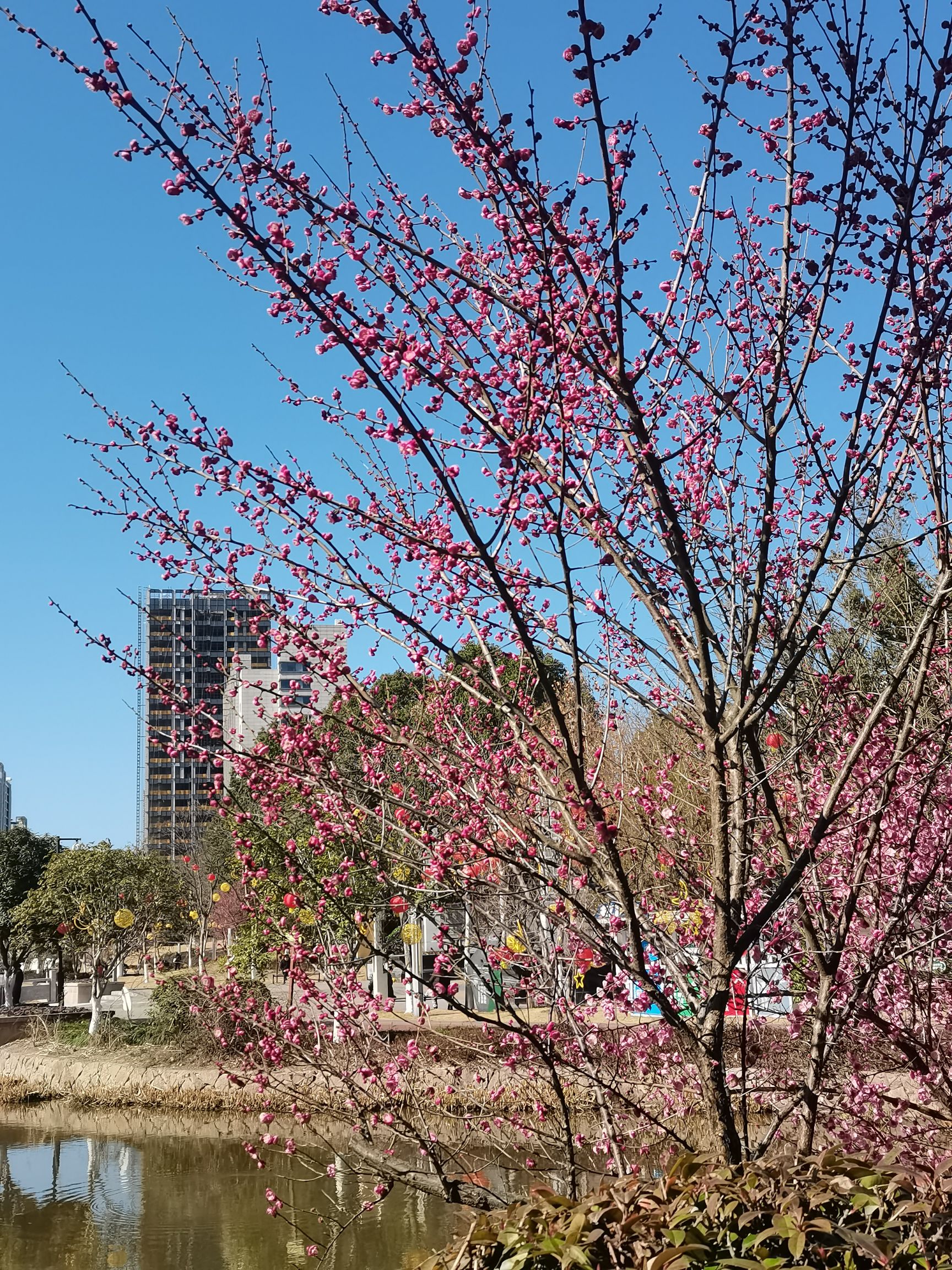 仙居县市民体育公园旅行图片 2